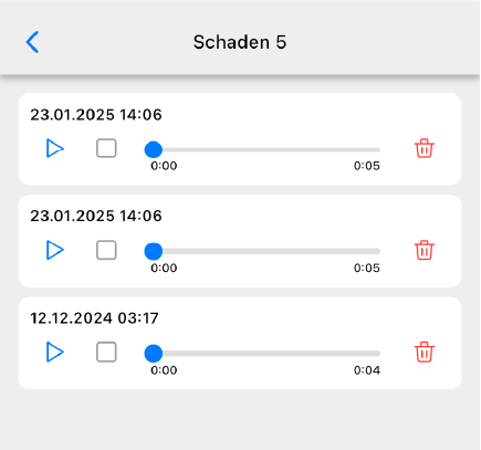 Sprachnotizen Übersicht